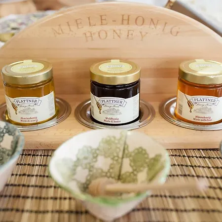 بلازا فندق 3*